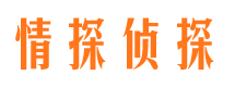 桃山私人侦探